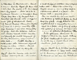 2 pages from Maria Lathbury's diary 3-4 August 1892