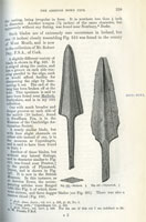 Page 259 from Ancient Bronze Implements, Weapons and Ornaments